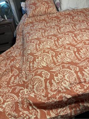 Pottery Barn Alessandra Queen duvet and a standard pillow case